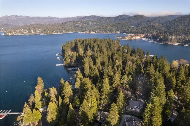 bird's eye view with a view of trees and a water and mountain view