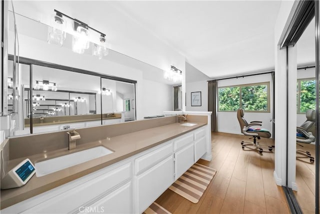 bathroom featuring vanity, plenty of natural light, and hardwood / wood-style floors