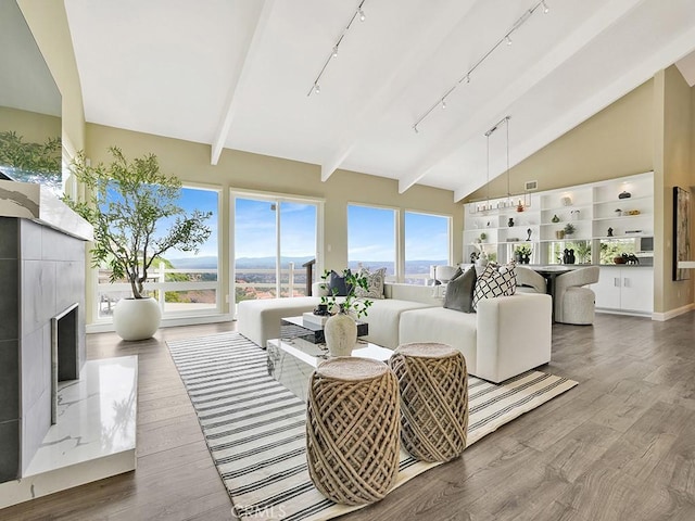 31062 Flying Cloud Dr, Laguna Niguel, CA 92677 - living room with a high end fireplace, track lighting, plenty of natural light, and wood finished floors