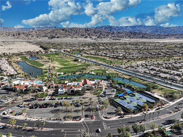 80358 Avenida Santa Alicia, Indio, CA 92203 - photo 59