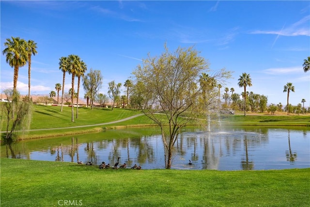 80358 Avenida Santa Alicia, Indio, CA 92203 - photo 52