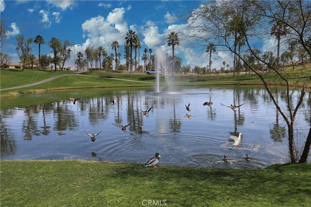 80358 Avenida Santa Alicia, Indio, CA 92203 - photo 53