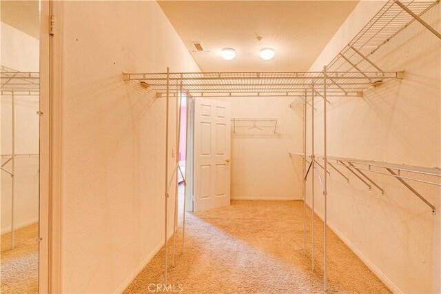 2438 Vista Del Sol Ln, Verne, CA 91750 - walk in closet with carpet floors
