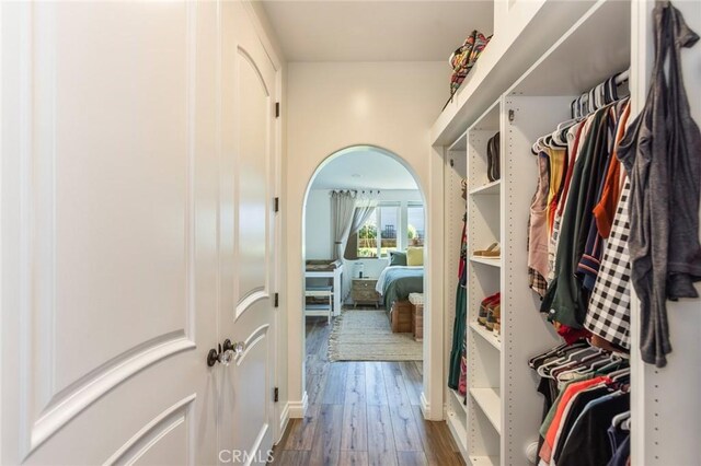 walk in closet with wood finished floors