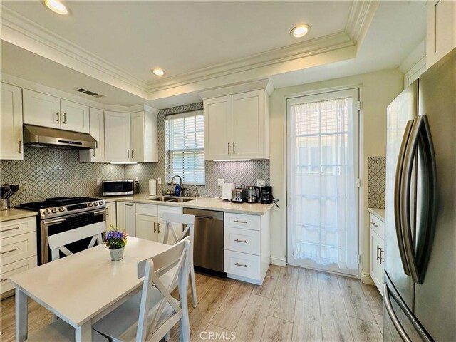 kitchen with visible vents, a raised ceiling, under cabinet range hood, a sink, and stainless steel appliances
