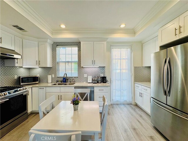 kitchen featuring a sink, a raised ceiling, appliances with stainless steel finishes, and light wood-style flooring