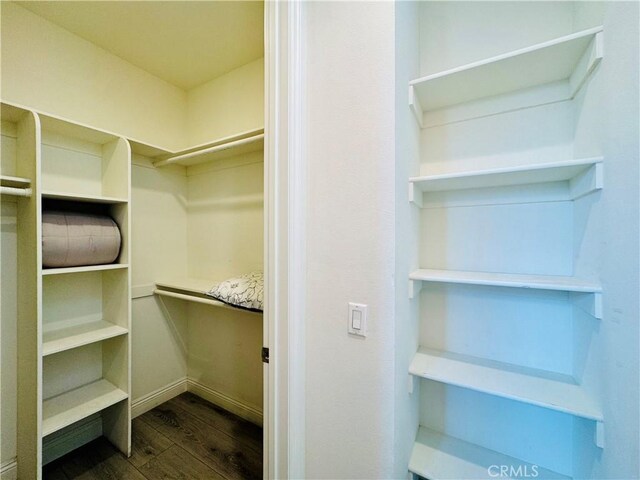walk in closet featuring dark wood-style floors