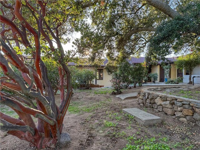 28015 Old Mine Rd, Ranchita, CA 92066 - view of yard