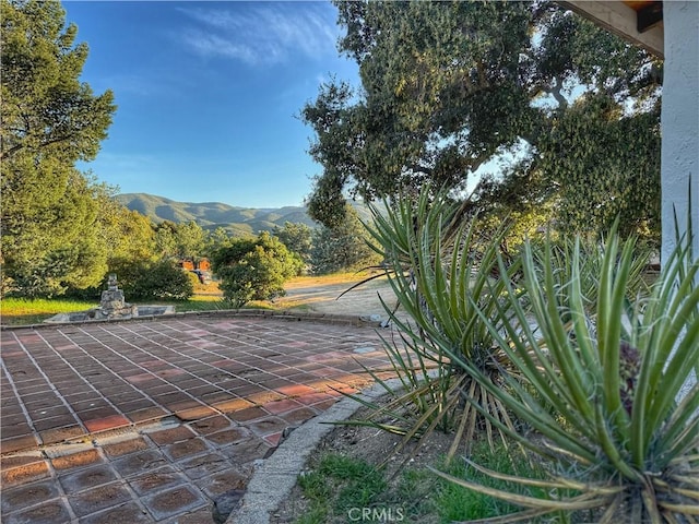 28015 Old Mine Rd, Ranchita, CA 92066 - view of property's community with a mountain view