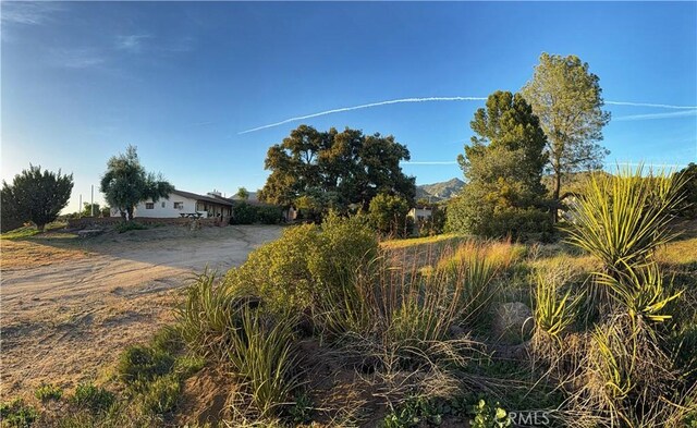 28015 Old Mine Rd, Ranchita, CA 92066 - view of yard