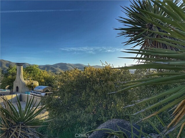 28015 Old Mine Rd, Ranchita, CA 92066 - view of yard with a mountain view