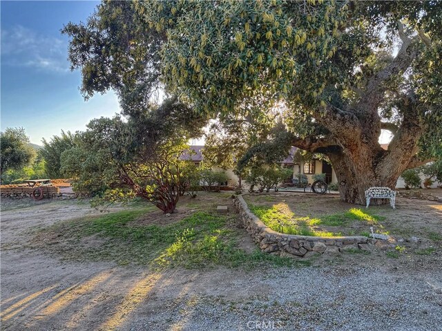 28015 Old Mine Rd, Ranchita, CA 92066 - view of yard