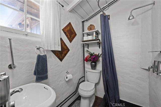 28015 Old Mine Rd, Ranchita, CA 92066 - full bath with toilet, a sink, and a shower with curtain