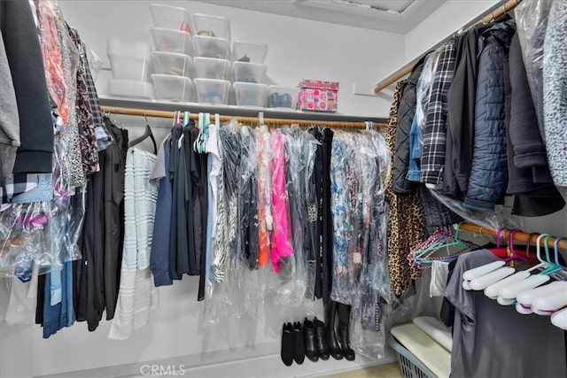 view of walk in closet
