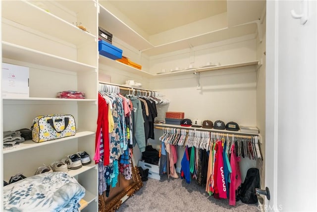 9170 Japatul Rd, Apple Valley, CA 92308 - spacious closet with carpet