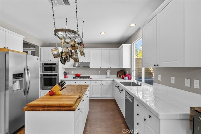 29081 Madrid Pl, Castaic, CA 91384 - kitchen with appliances with stainless steel finishes, a sink, wood counters, under cabinet range hood, and white cabinetry