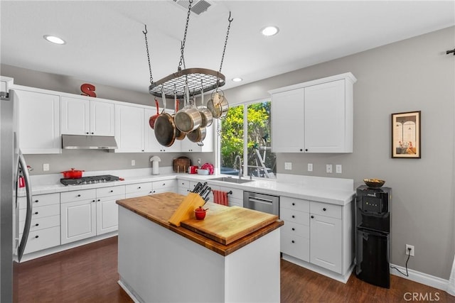 29081 Madrid Pl, Castaic, CA 91384 - kitchen with under cabinet range hood, a sink, appliances with stainless steel finishes, dark wood finished floors, and white cabinets