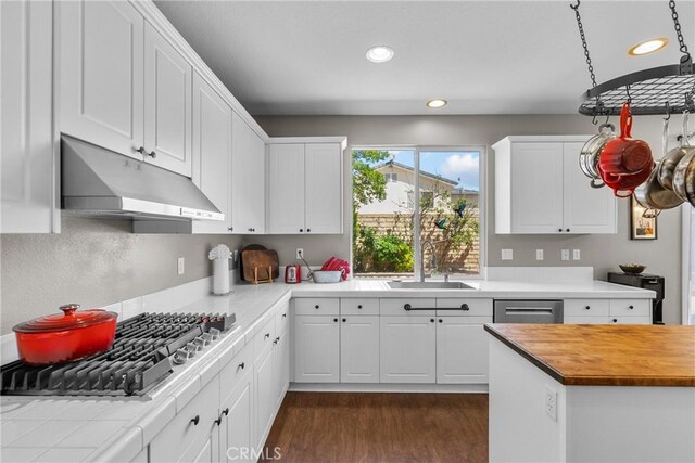 kitchen featuring white cabinets, a sink, stainless steel appliances, recessed lighting, and under cabinet range hood