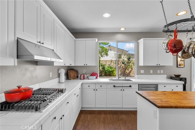 29081 Madrid Pl, Castaic, CA 91384 - kitchen featuring under cabinet range hood, a sink, appliances with stainless steel finishes, recessed lighting, and white cabinets