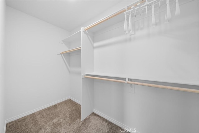 6506 Zion Way, Jurupa Valley, CA 92509 - spacious closet featuring carpet flooring