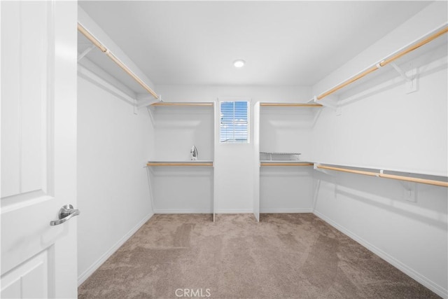 6506 Zion Way, Jurupa Valley, CA 92509 - walk in closet with carpet floors