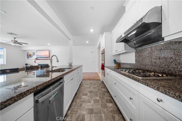 6506 Zion Way, Jurupa Valley, CA 92509 - kitchen with stainless steel appliances, under cabinet range hood, ceiling fan, a sink, and tasteful backsplash