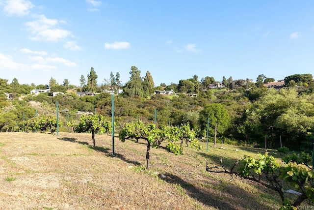 view of landscape
