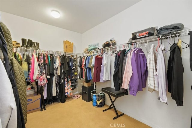 34787 Grotto Hills Dr, Winchester, CA 92596 - walk in closet with carpet floors