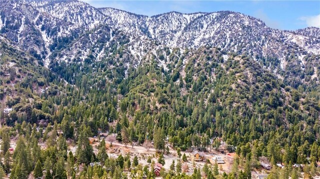 view of mountain feature with a forest view