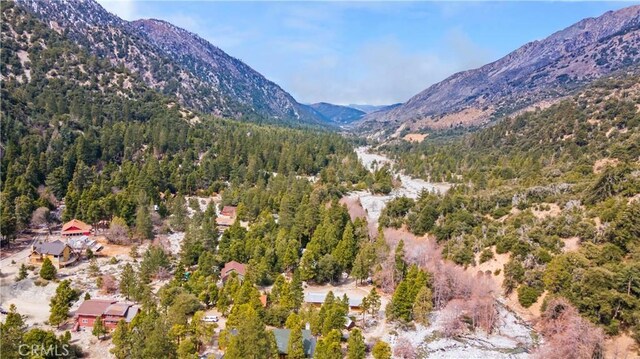 property view of mountains with a wooded view
