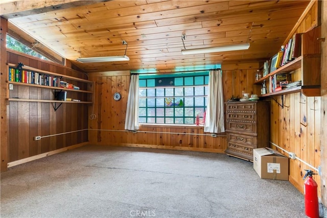 interior space with wood ceiling and wooden walls