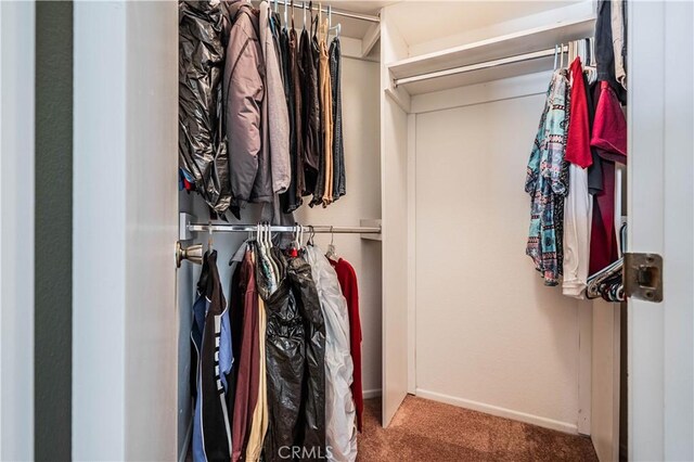749 Cortez Dr, Hemet, CA 92545 - walk in closet with carpet floors