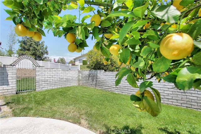 view of yard with fence private yard