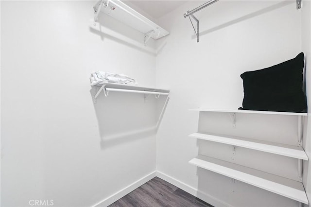 1781 Whitefield Rd, Pasadena, CA 91104 - walk in closet with dark wood-style floors