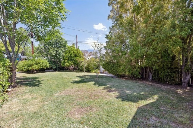 1781 Whitefield Rd, Pasadena, CA 91104 - view of yard
