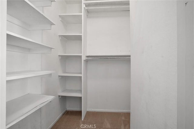 walk in closet with carpet