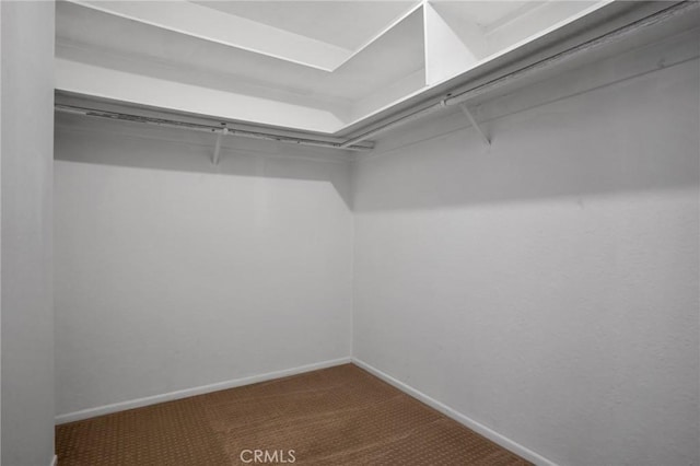 spacious closet with carpet flooring