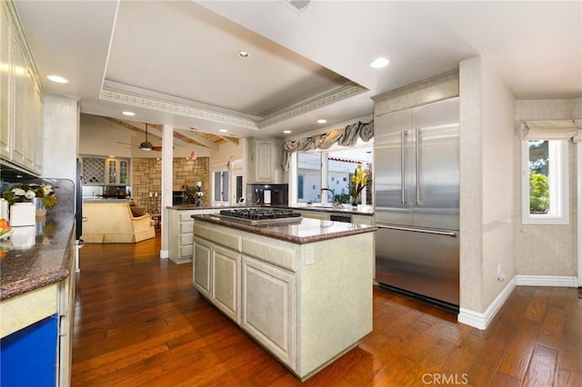 kitchen with a fireplace, dark wood-type flooring, a raised ceiling, a ceiling fan, and stainless steel appliances