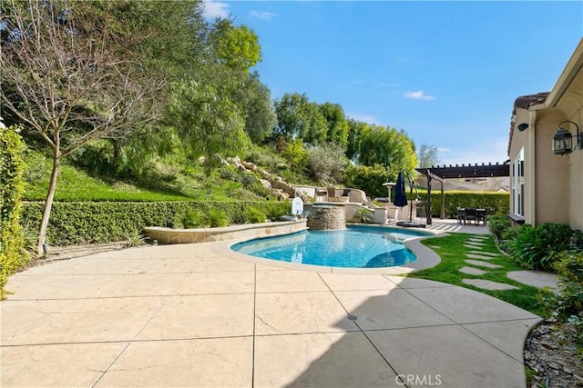 pool with an outdoor kitchen, a pergola, and a patio area