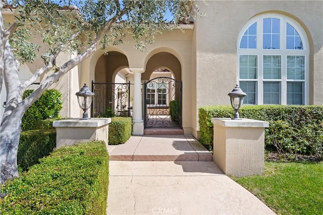 view of exterior entry with stucco siding