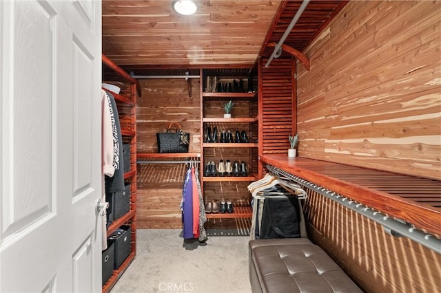 view of spacious closet