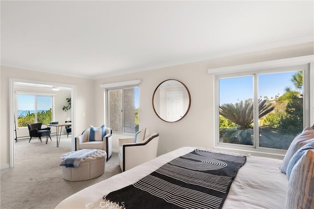 carpeted bedroom with crown molding, baseboards, and multiple windows