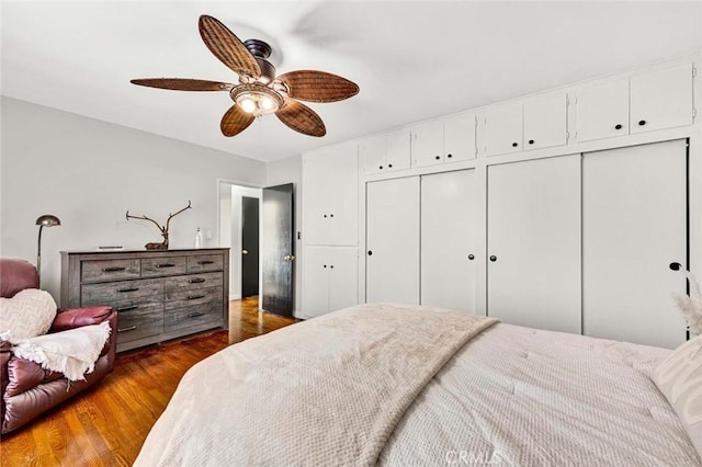 bedroom featuring multiple closets, ceiling fan, and wood finished floors