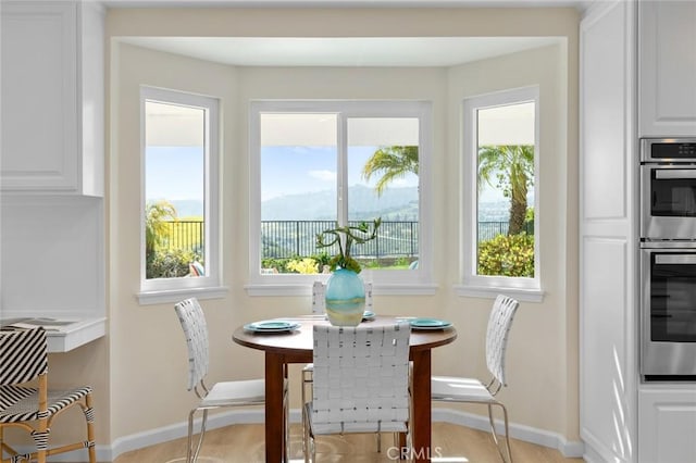 dining space with baseboards and a wealth of natural light