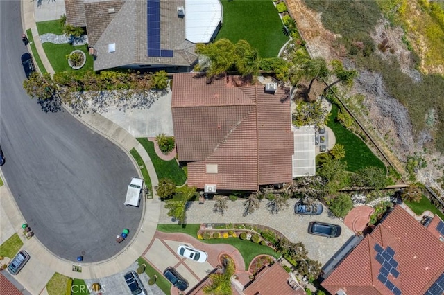 bird's eye view