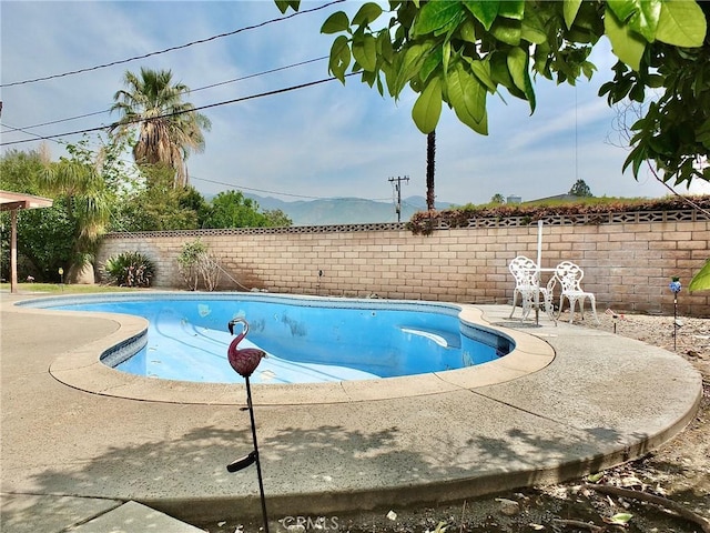 3915 Valencia Ave, San Bernardino, CA 92404 - view of pool with a patio, a fenced in pool, and a fenced backyard
