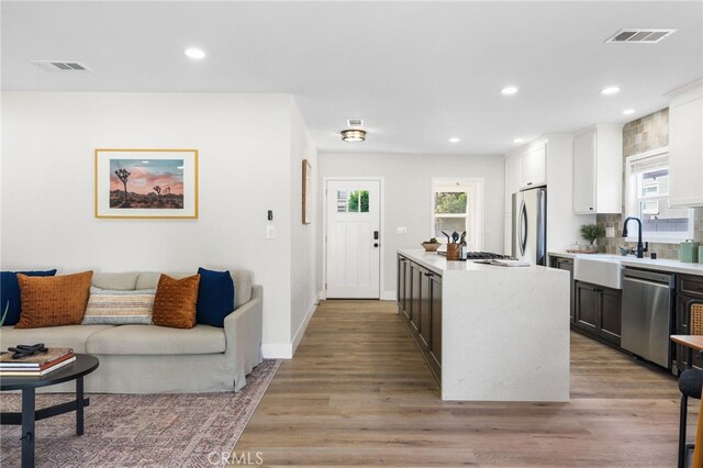 kitchen featuring a sink, light countertops, stainless steel appliances, and visible vents