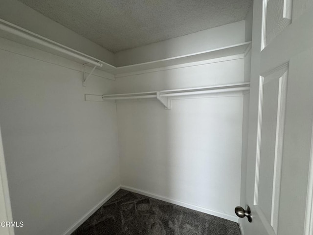 1300 Saratoga Ave Unit 2204, Ventura, CA 93003 - spacious closet featuring carpet flooring