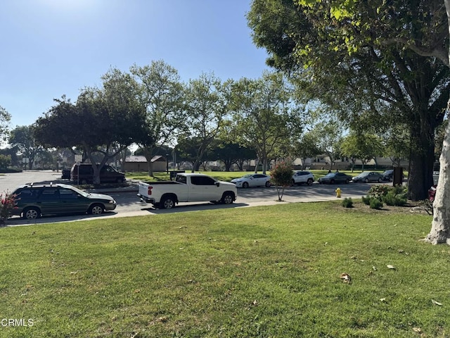 1300 Saratoga Ave Unit 2204, Ventura, CA 93003 - view of yard