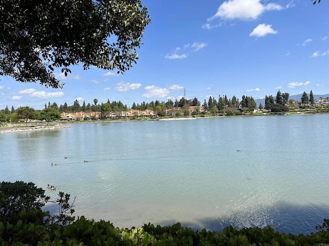water view